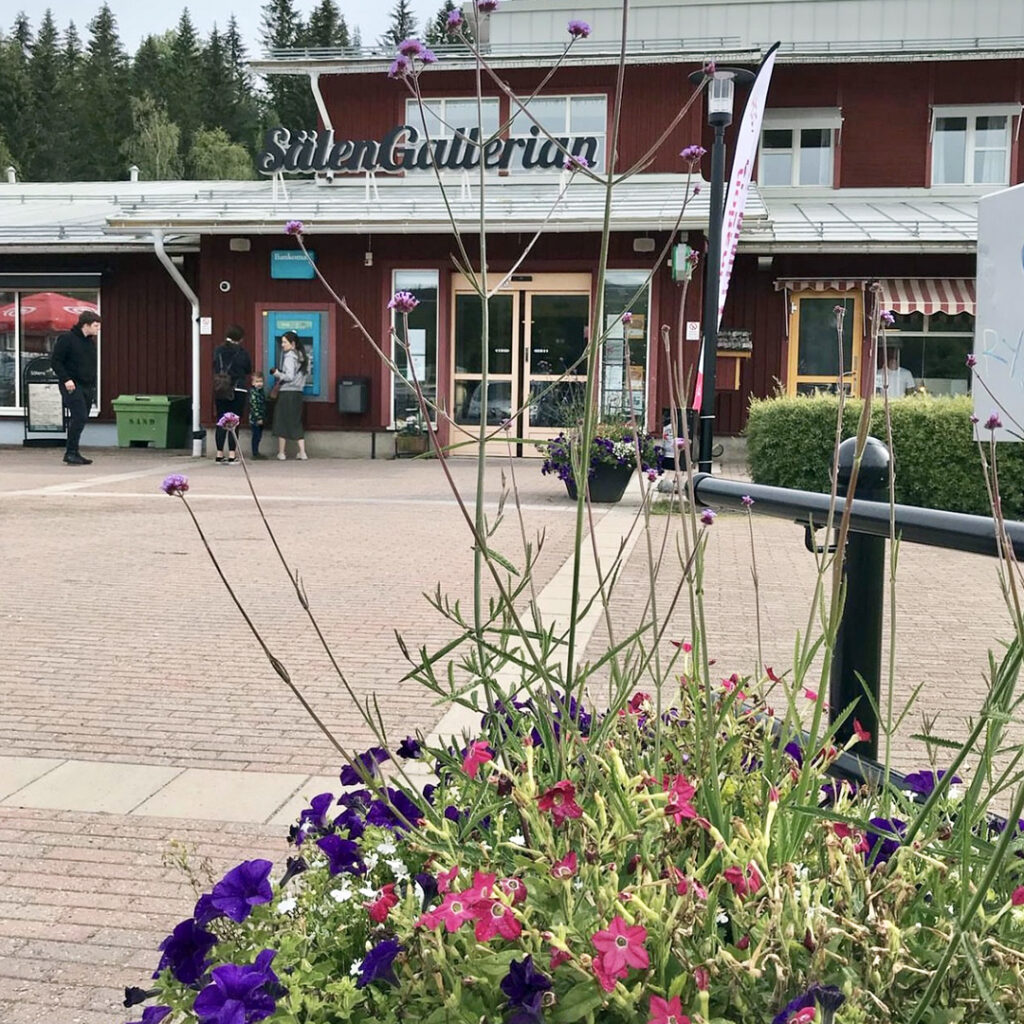 Sälengallerian sommar
